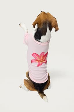 Daylily Pet T-Shirt Unisex Cotton Polyester Flower Graphic Print Medium