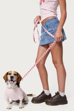 Daylily Pet Leash - Flower Graphic Print Polyester 74 Inch Length
