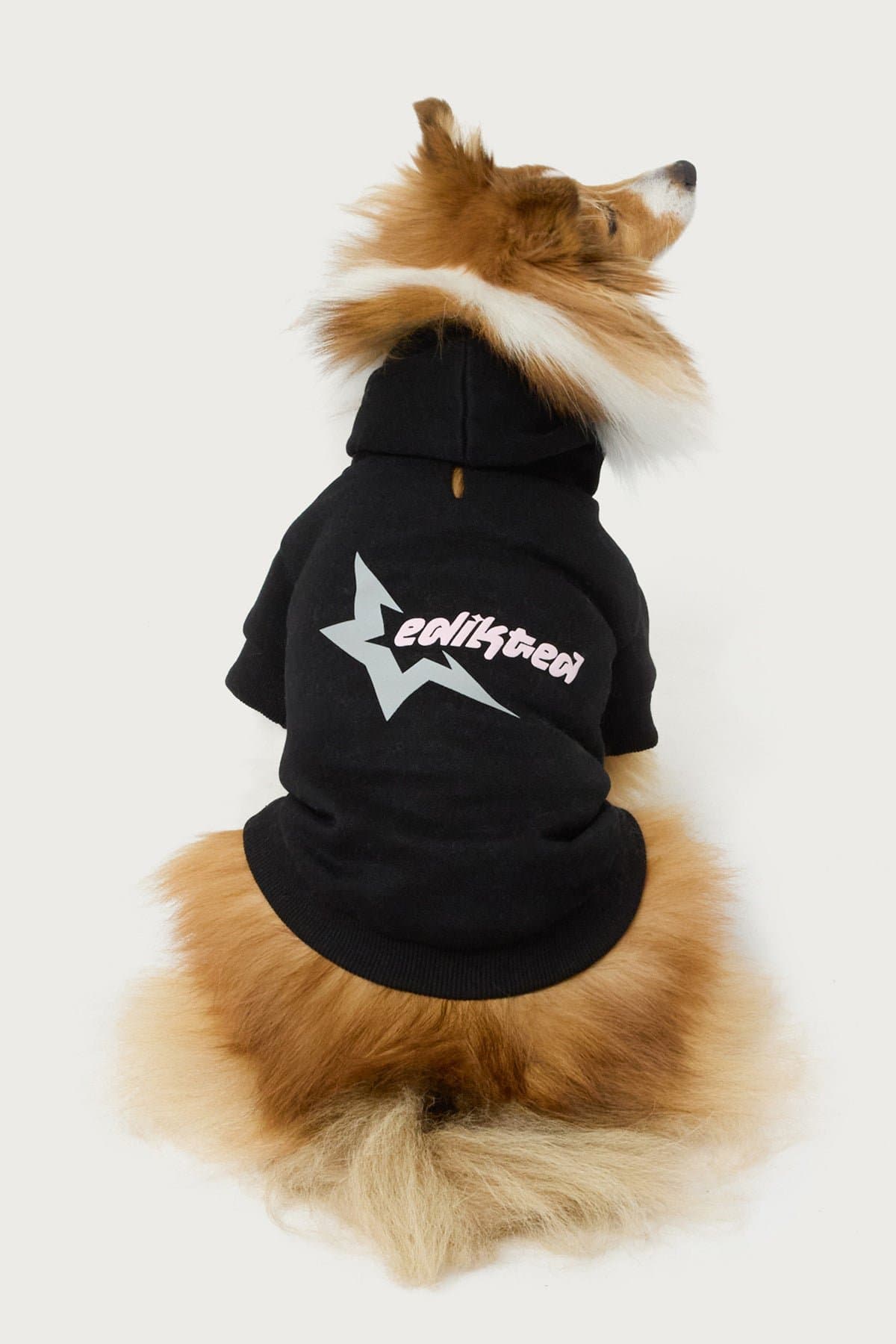 Edikted Star Pet Hoodie - Polyester Cotton Rayon Graphic Print Pet Sweatshirt