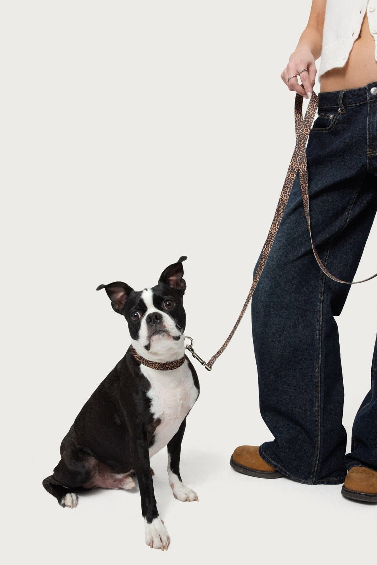 Leopard Print Adjustable Pet Collar - Polyester Small Size for Dogs