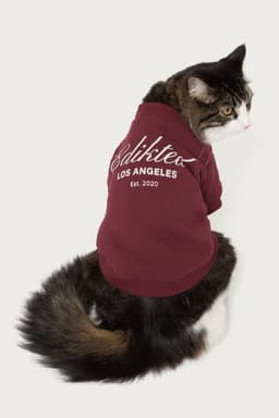 Get Edikted Pet Sweatshirt - Polyester Cotton Graphic Hoodie Small Size