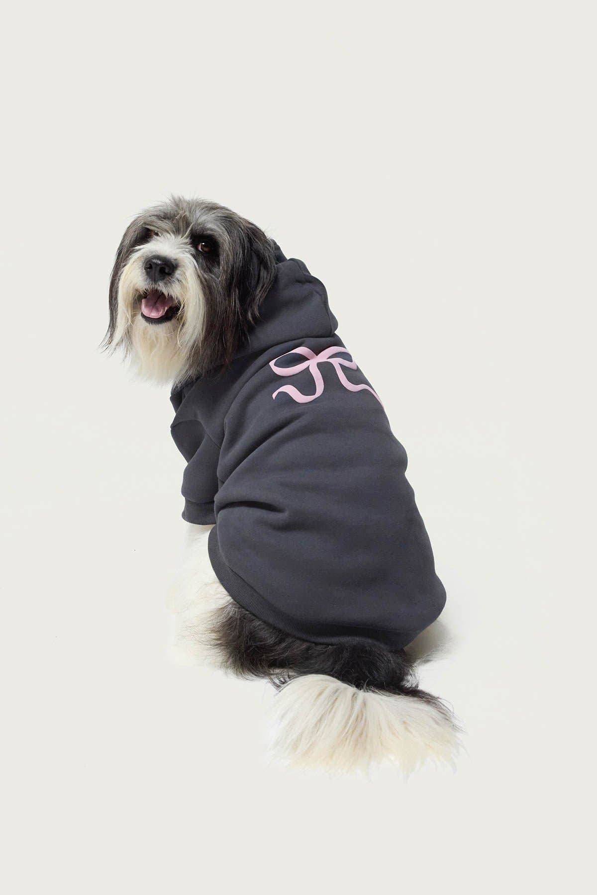 Bonney Bow Pet Hoodie - Polyester Cotton Graphic Print Dog Hoodie Size L