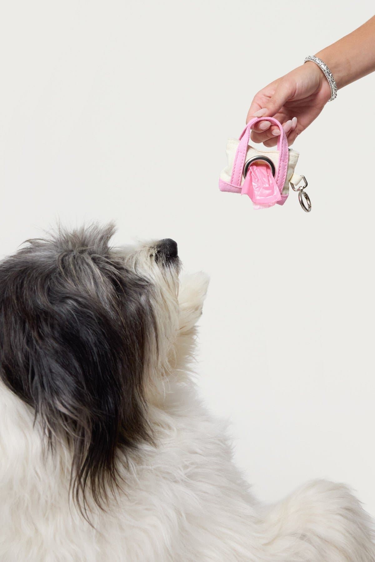 Tidy Tote Poop Bag Holder - Micro Purse Design Cotton Plastic Metal 3.7x2.7in