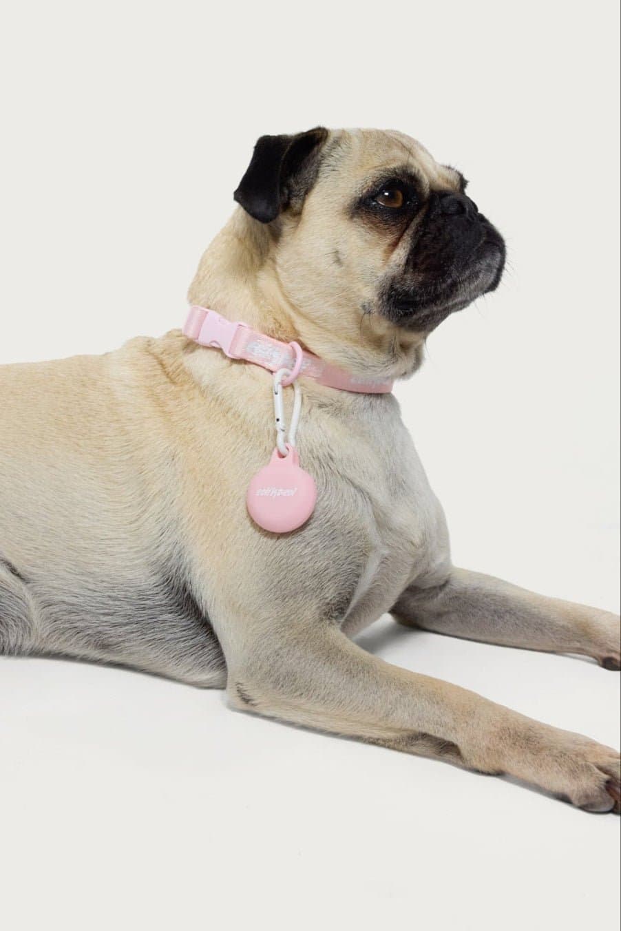 Edikted GPS Tag Holder Silicone Metal 3.3x1.3 Inches Graphic Text