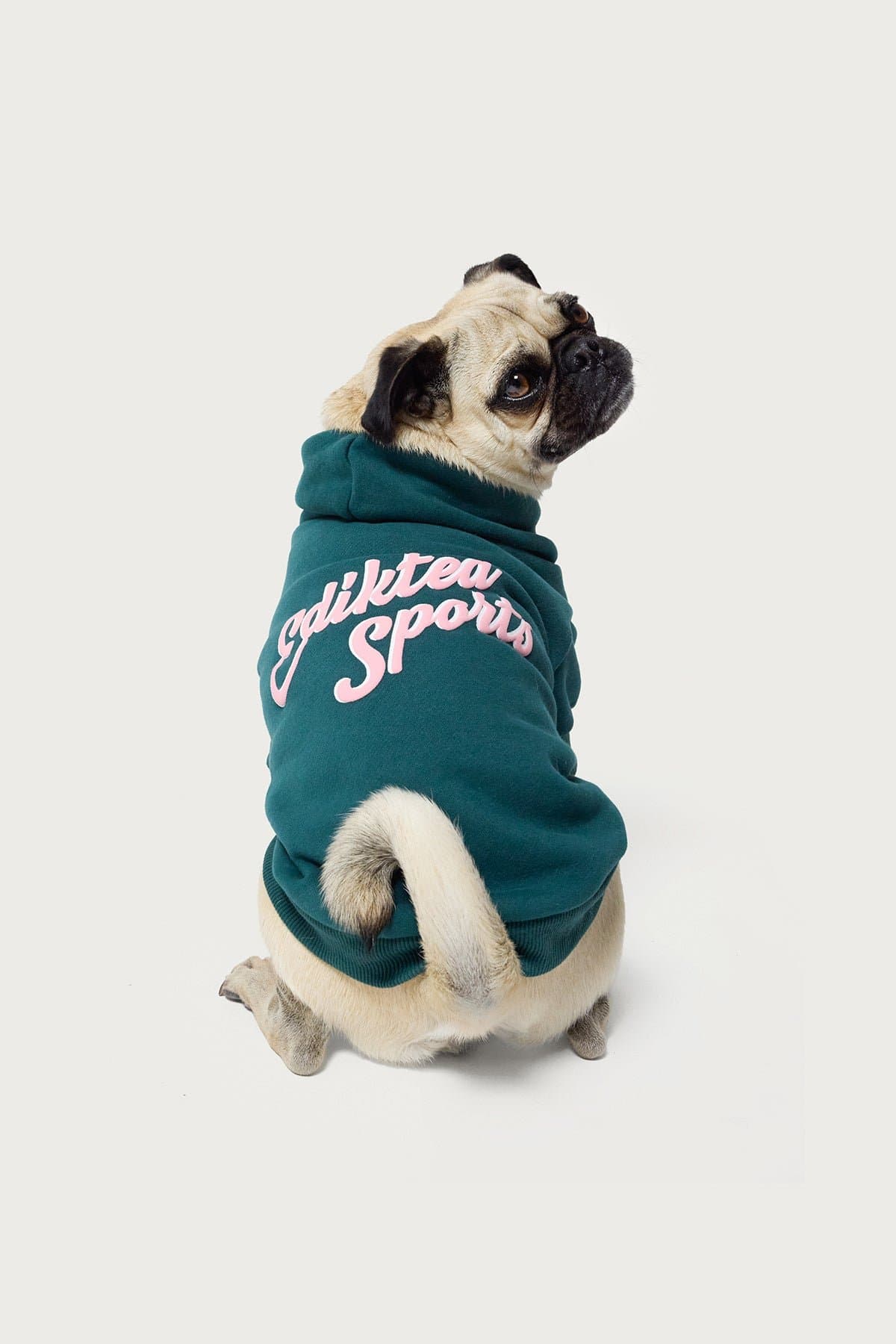 So Sporty Pet Hoodie - Edikted Sports Graphic, Polyester Cotton Blend, Sizes XS-L