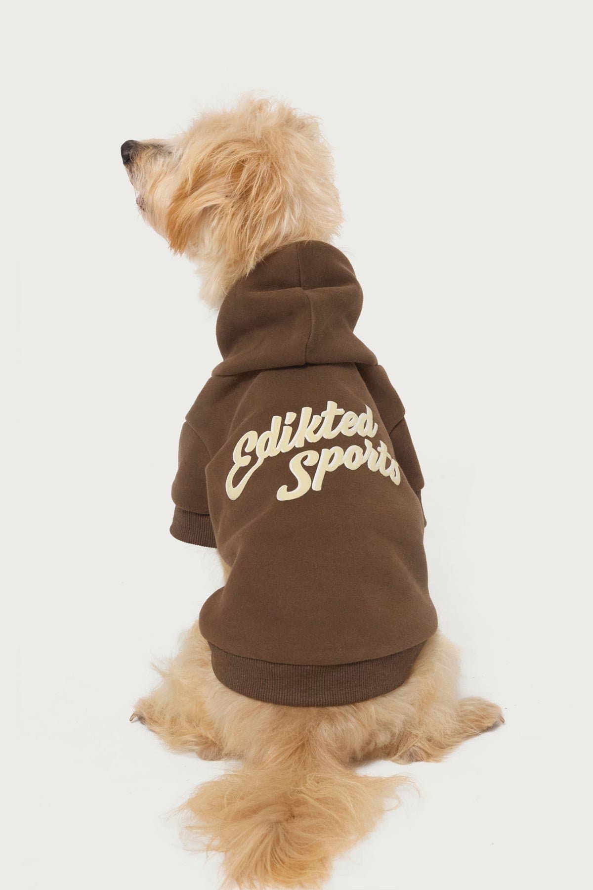 So Sporty Pet Hoodie - Edikted Sports Graphic Unisex Polyester Cotton