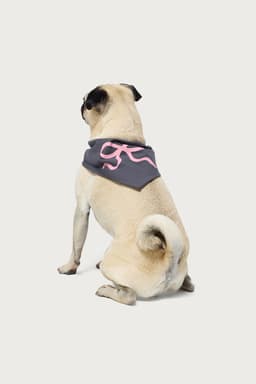 Bonney Bow Pet Bandana - 100% Cotton, 16.1x25.2 Inches