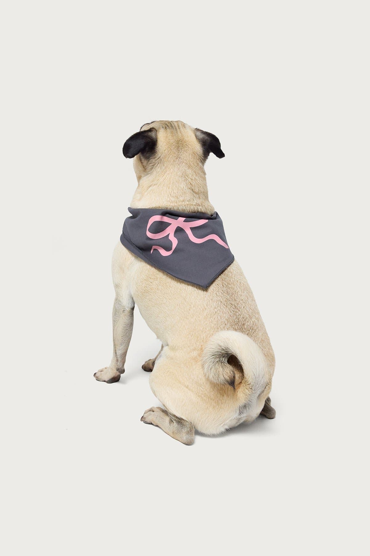 Bonney Bow Pet Bandana - 100% Cotton, 16.1x25.2 Inches