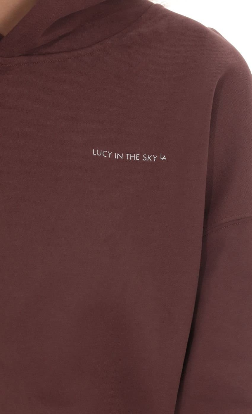 Los Angeles Fleece Hoodie in Brown