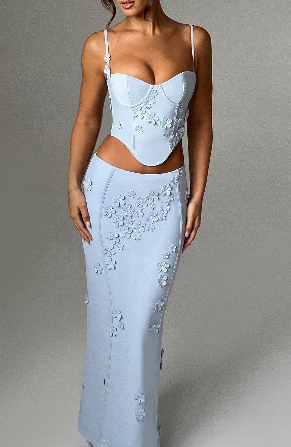 Dalary Maxi Skirt in Blue Stretch Mesh with 3D Flower Appliques