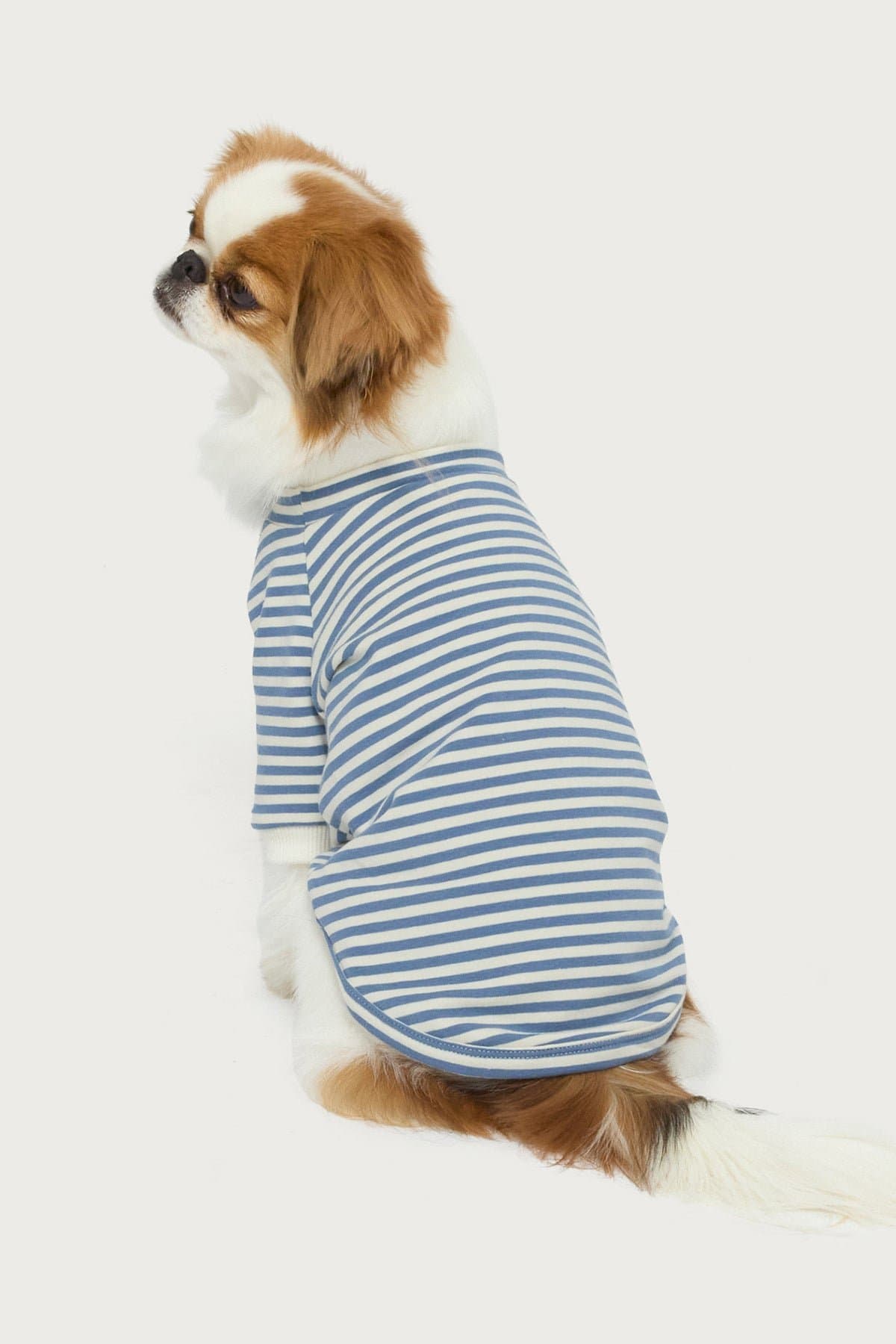Lilah Striped Long Sleeve Pet T-Shirt - Cotton Spandex Unisex