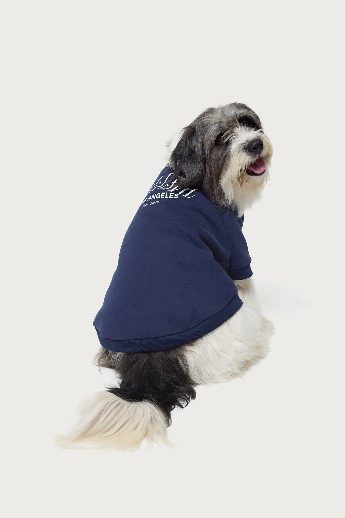 Get Edikted Pet Sweatshirt with LA Graphic - Polyester Cotton Unisex Hoodie Large
