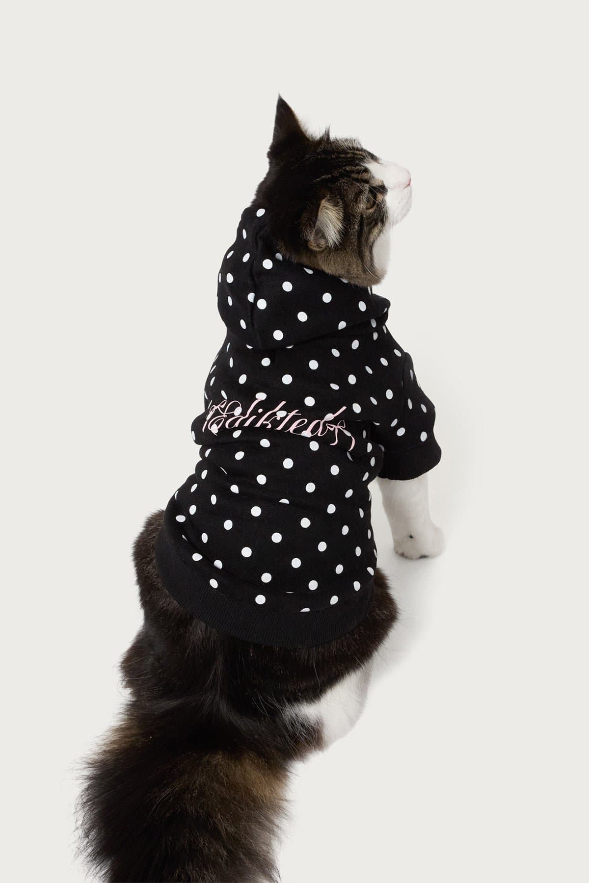 Chelsie Polka Dot Pet Hoodie - Edikted Graphic Polyester Cotton Rayon