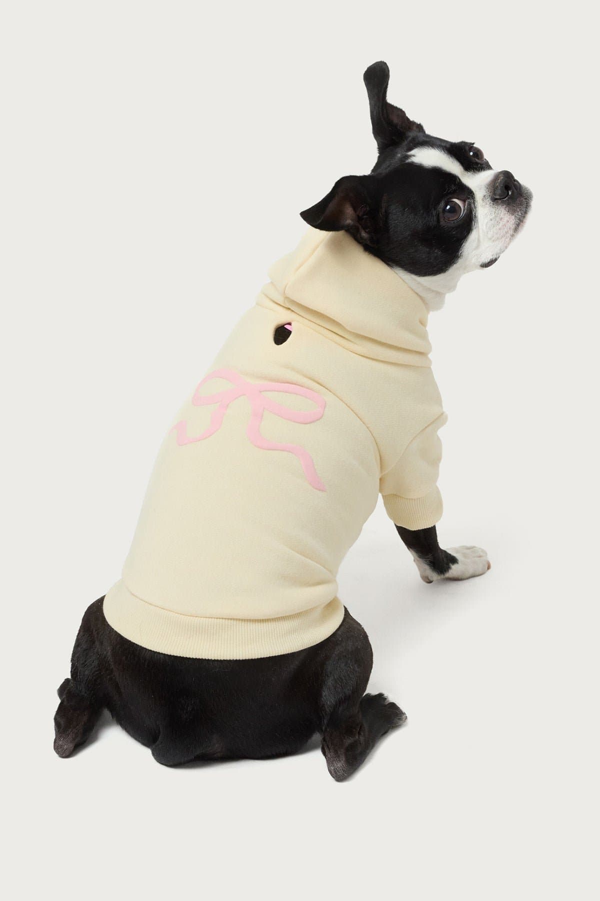 Bonney Bow Pet Hoodie - Polyester Cotton Graphic Print Small Size