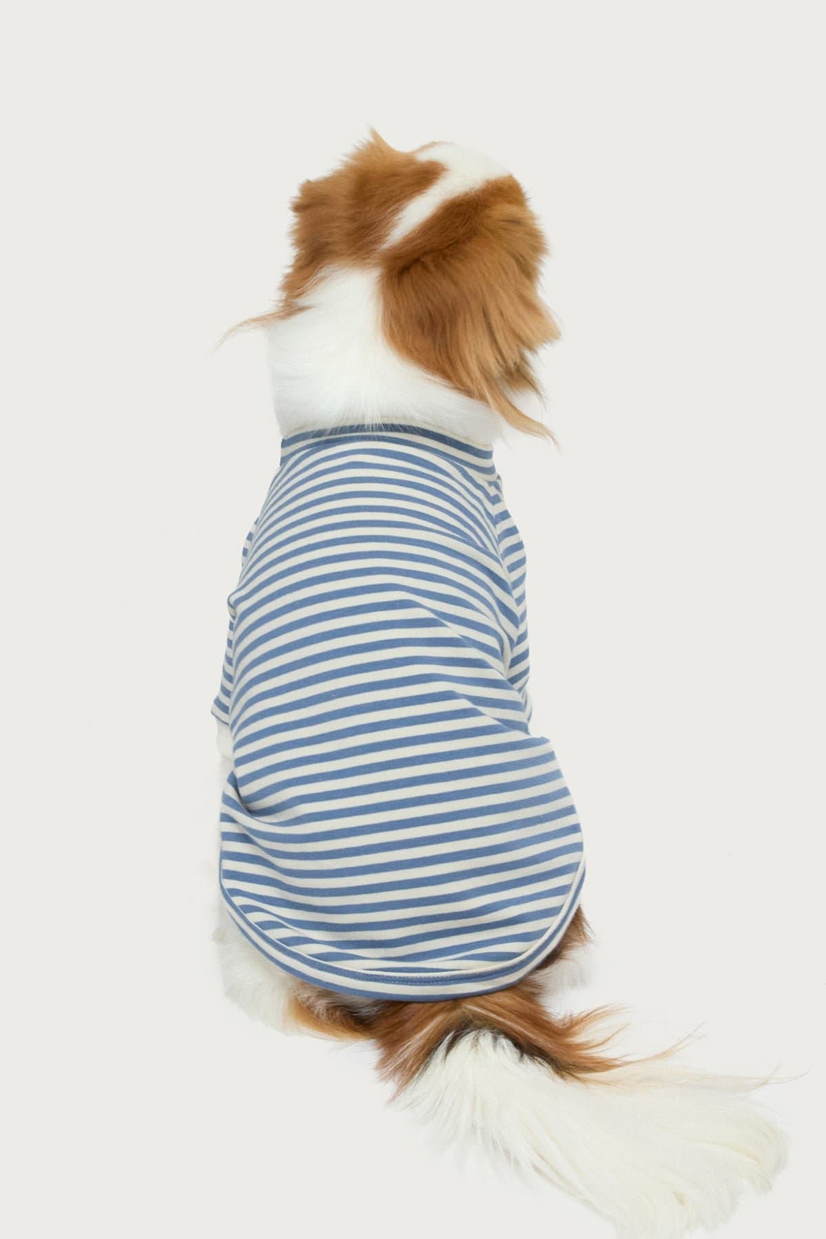 Lilah Striped Long Sleeve Pet T-Shirt - Cotton Spandex Unisex