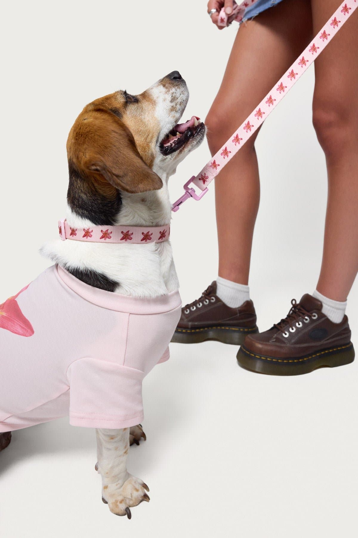 Daylily Pet Leash - Flower Graphic Print Polyester 74 Inch Length