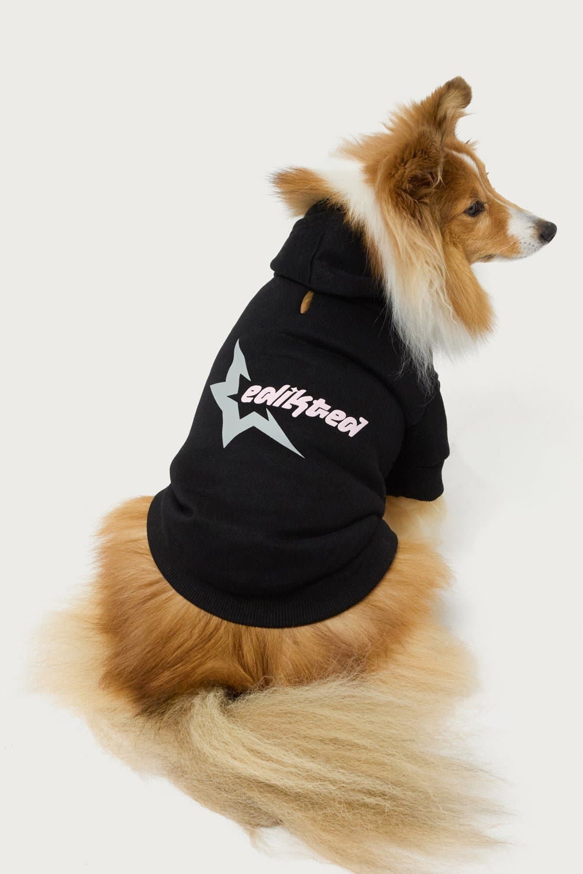 Edikted Star Pet Hoodie - Polyester Cotton Rayon Graphic Print Pet Sweatshirt