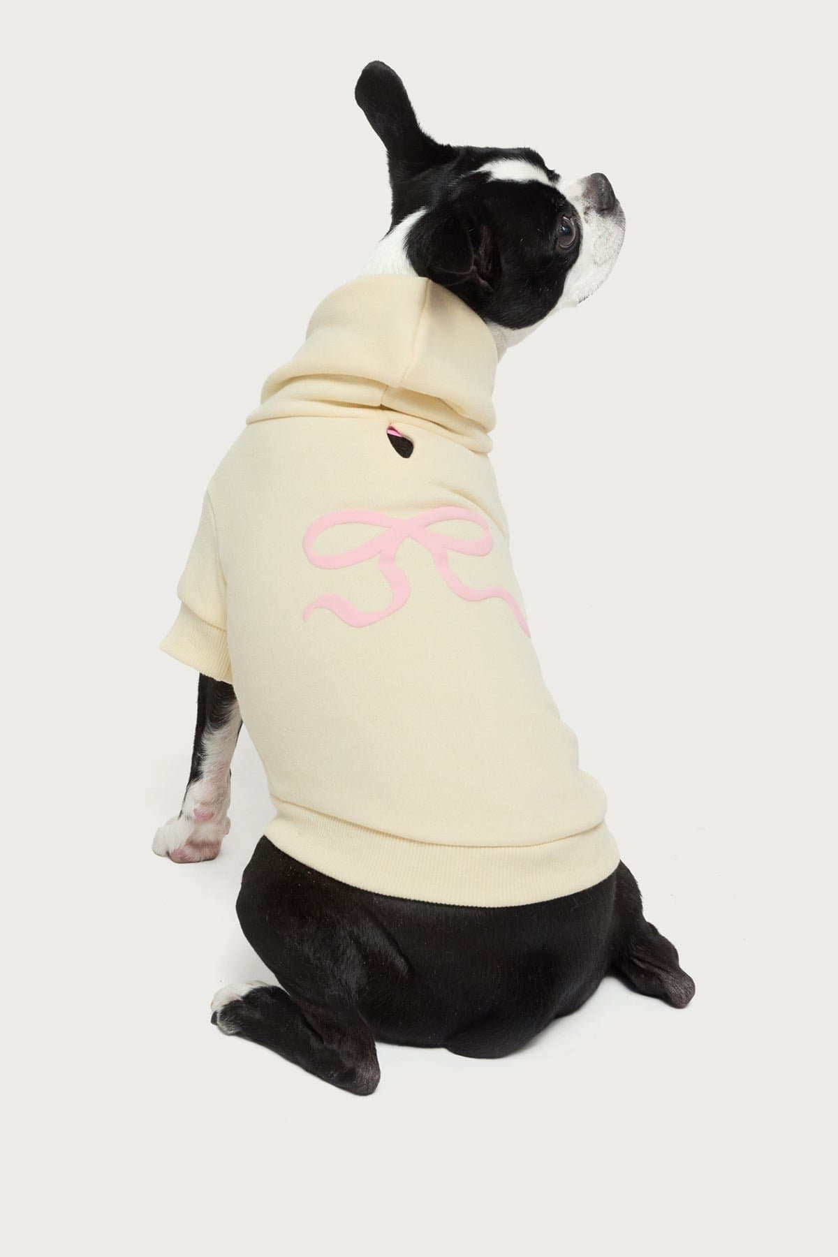Bonney Bow Pet Hoodie - Polyester Cotton Graphic Print Small Size