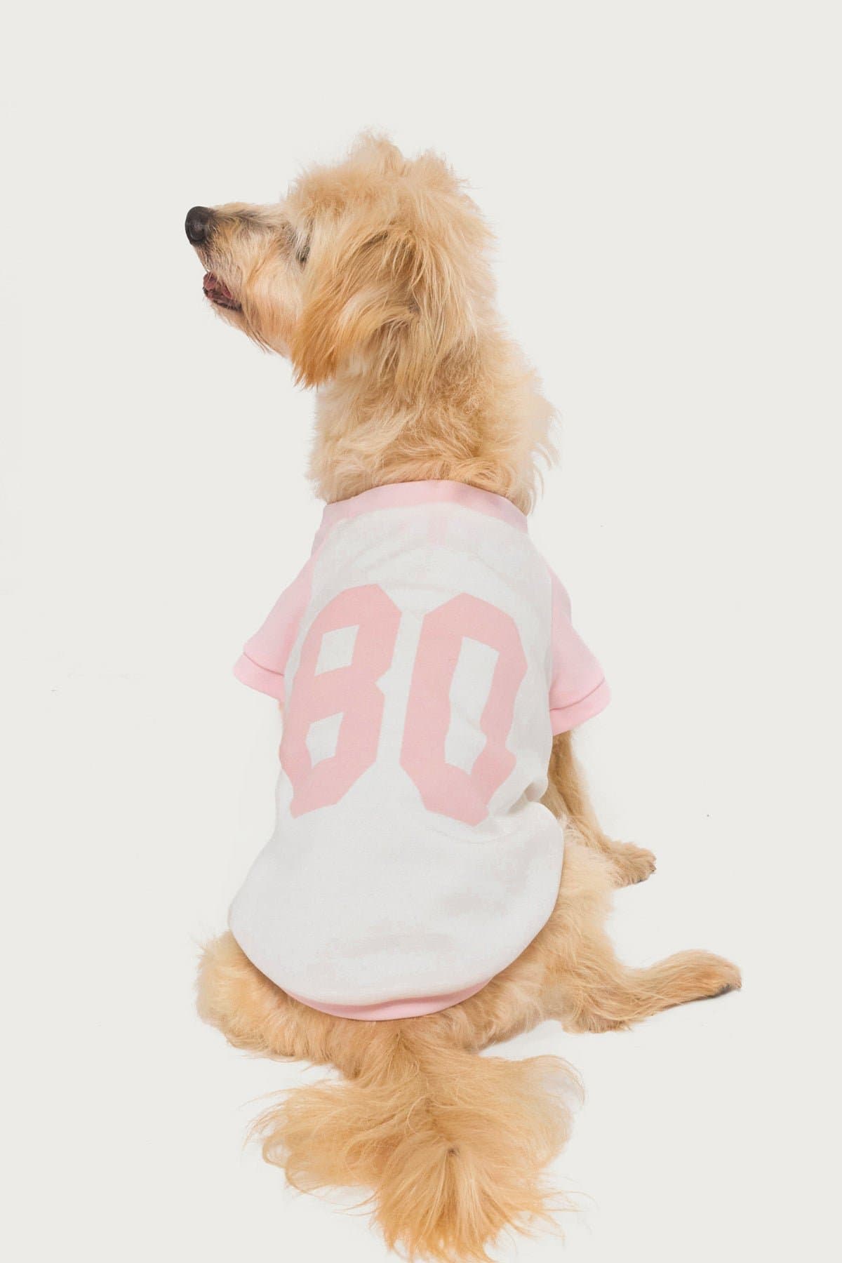 80's Raglan Pet T-Shirt Unisex Cotton Spandex Graphic Tee