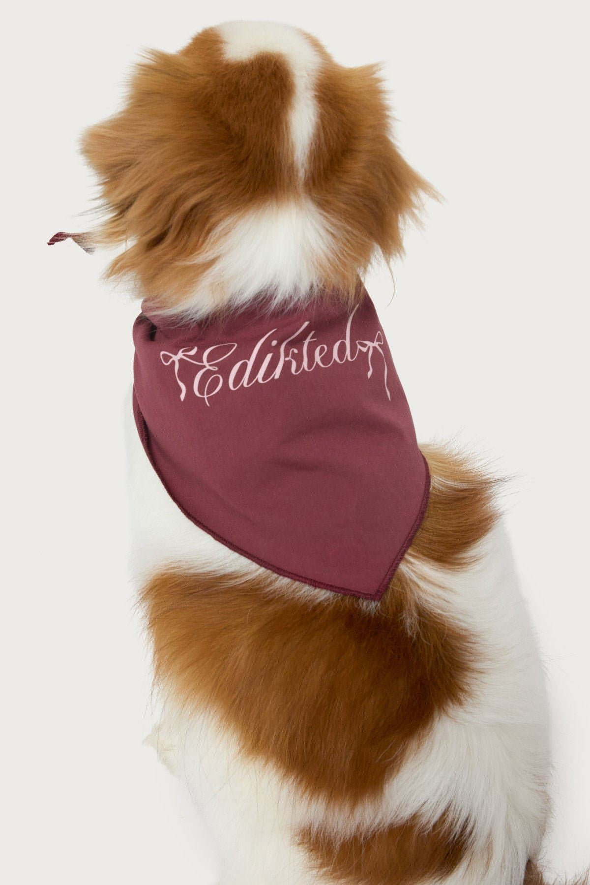 Sasha Bow Pet Bandana 100% Cotton Graphic Print Edikted Text 25.2x16.1in