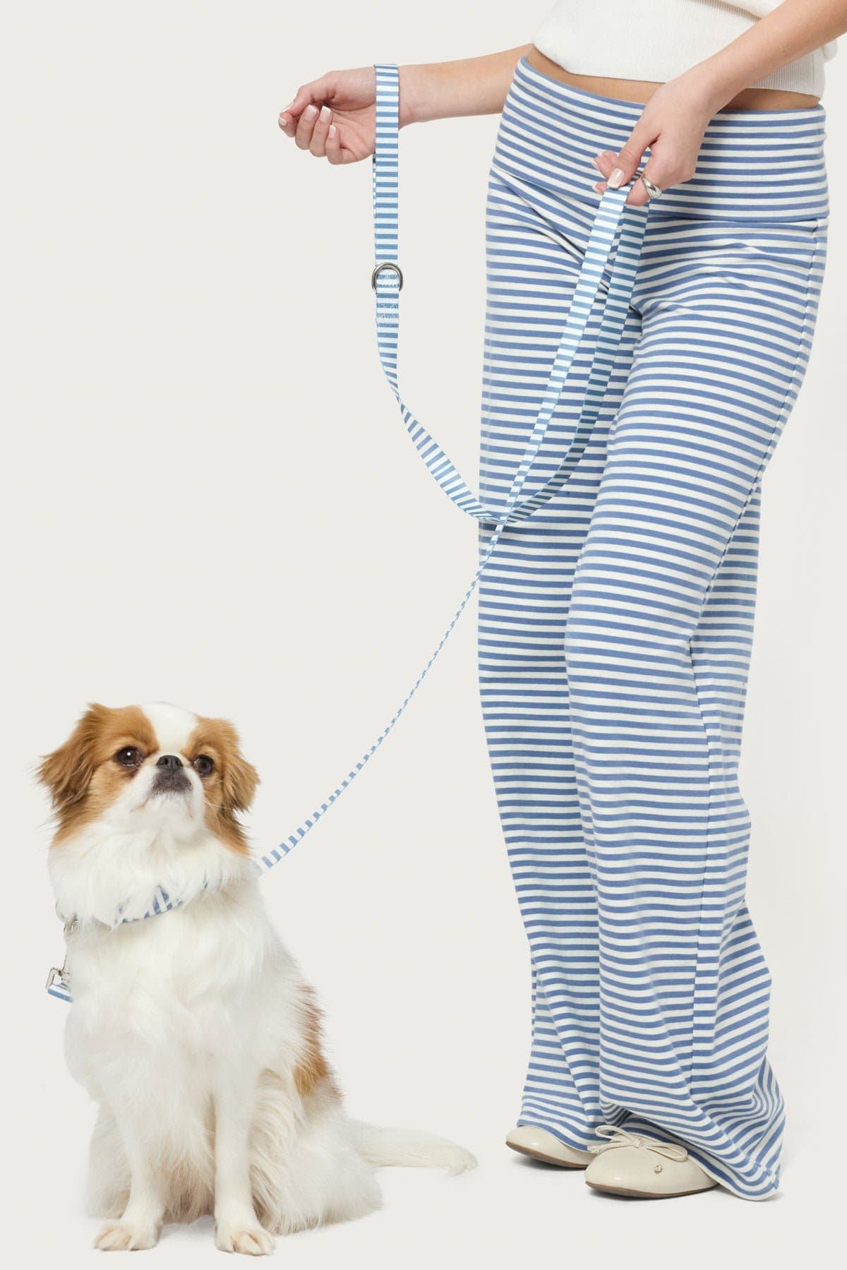 Striped Pet Leash - Polyester with Plastic & Metal Hardware, 70.8" Length x 0.8" Width