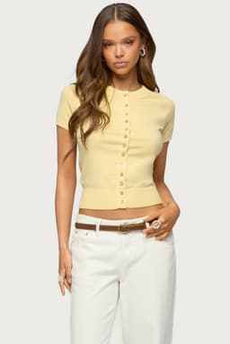 Wilmer Button Up Short Sleeve Knit Top - Iridescent Rayon Nylon Polyester