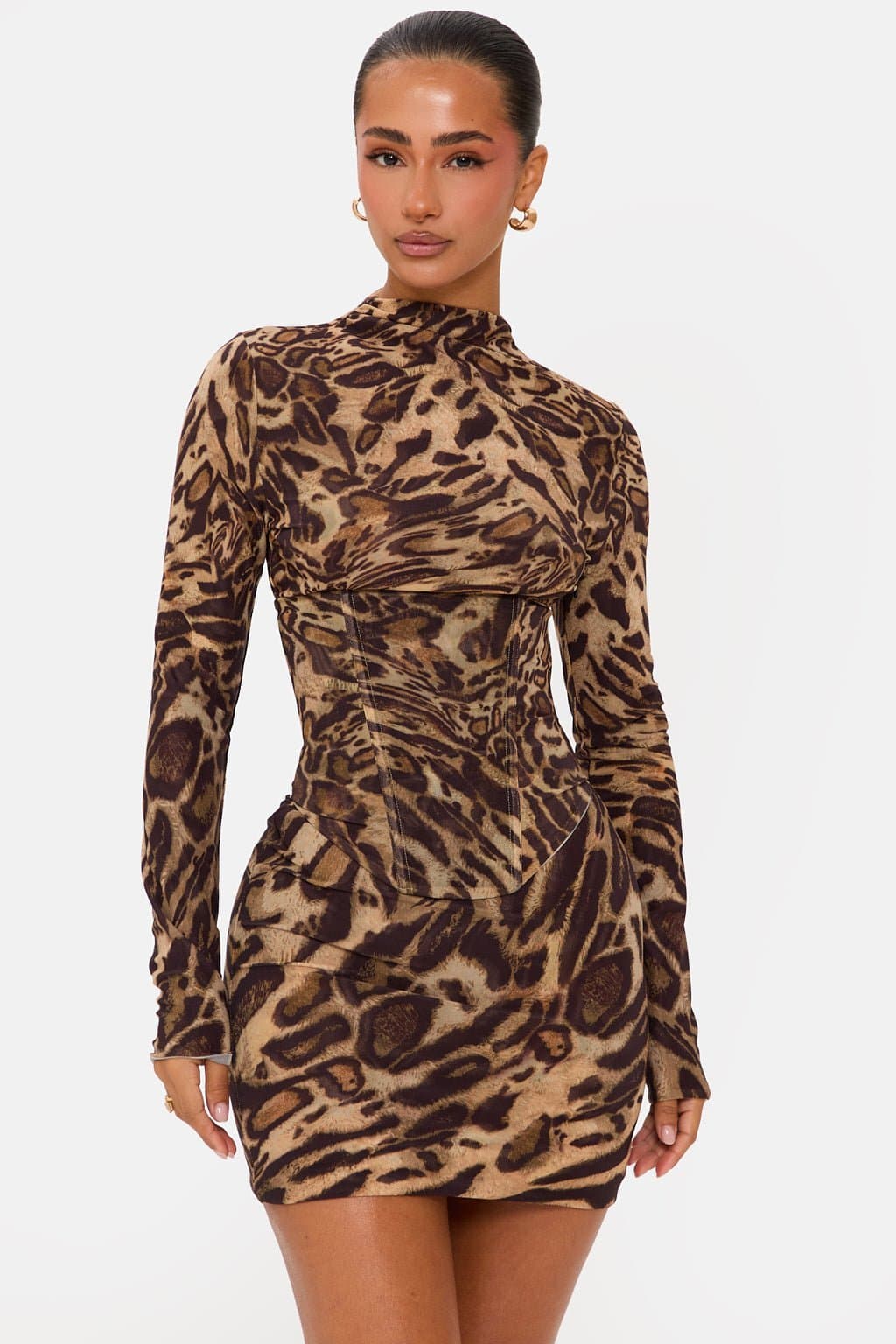 Dakota Mini Leopard Print Corset Mini Dress High Neck Long Sleeve