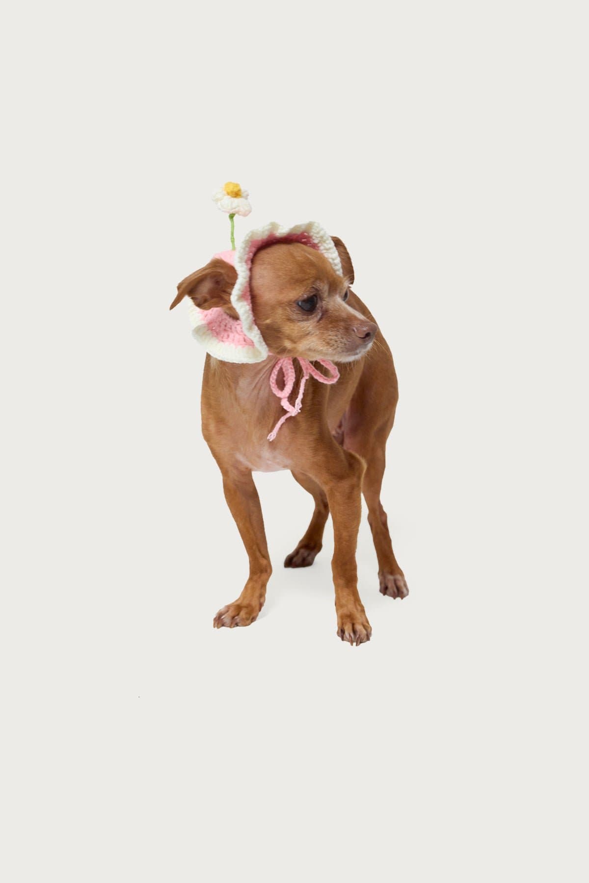 Petal Pet Crochet Hat - Flower Design Acrylic Fabric 6.4" Length 3.5" Width