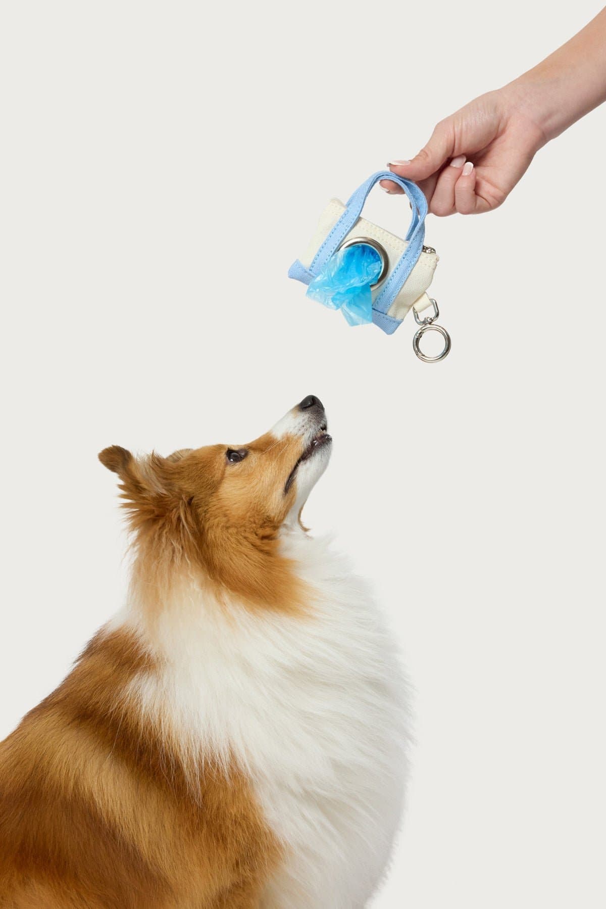 Tidy Tote Poop Bag Holder - Micro Purse Design Cotton Plastic Metal 3.7x2.7in