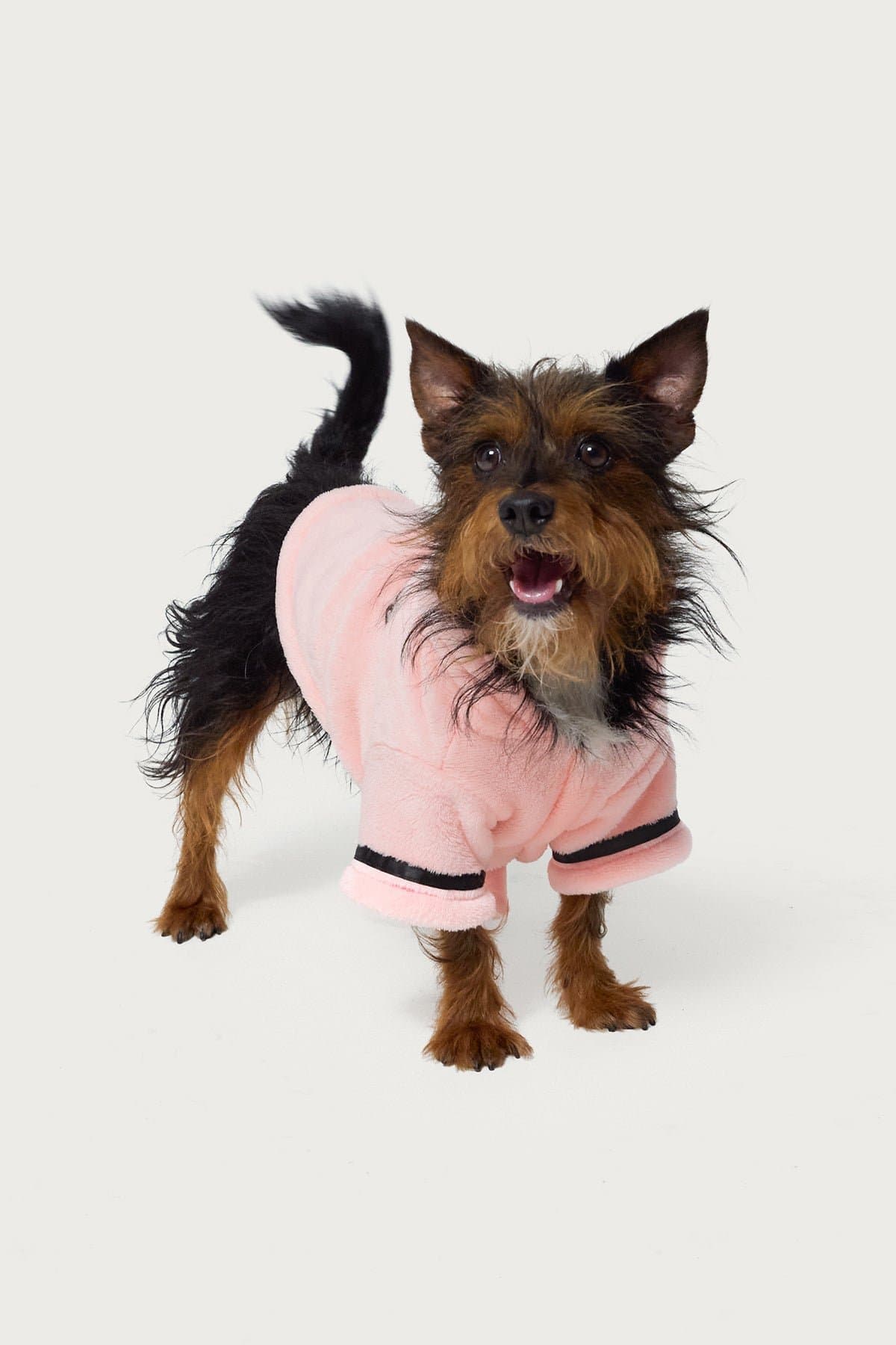 Snuggle Up Fuzzy Pet Robe Embroidered Edikted Graphic Polyester OS