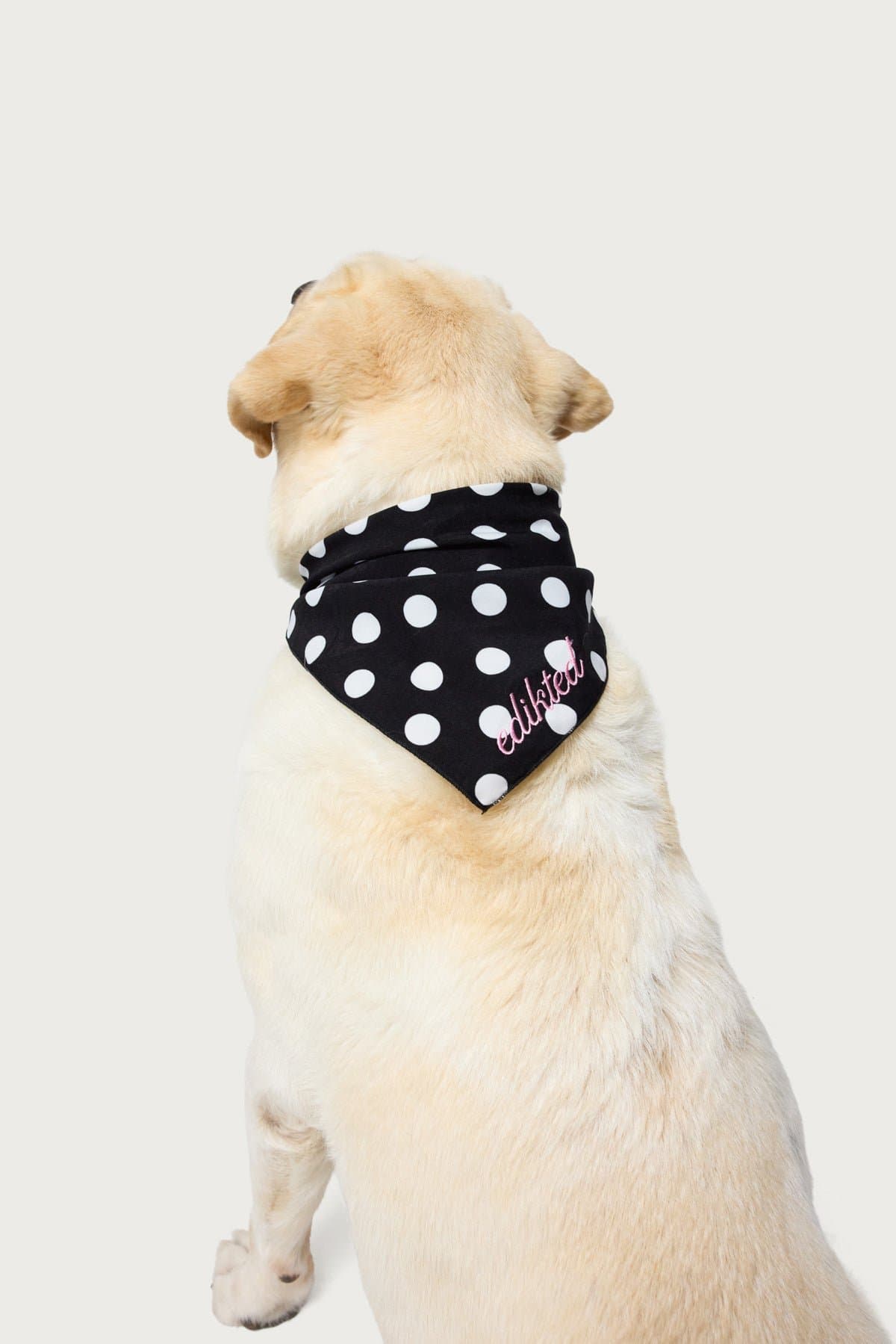 Pawka Dot Edikted Pet Bandana - Polka Dot Polyester Scarf 29.5x19.6in