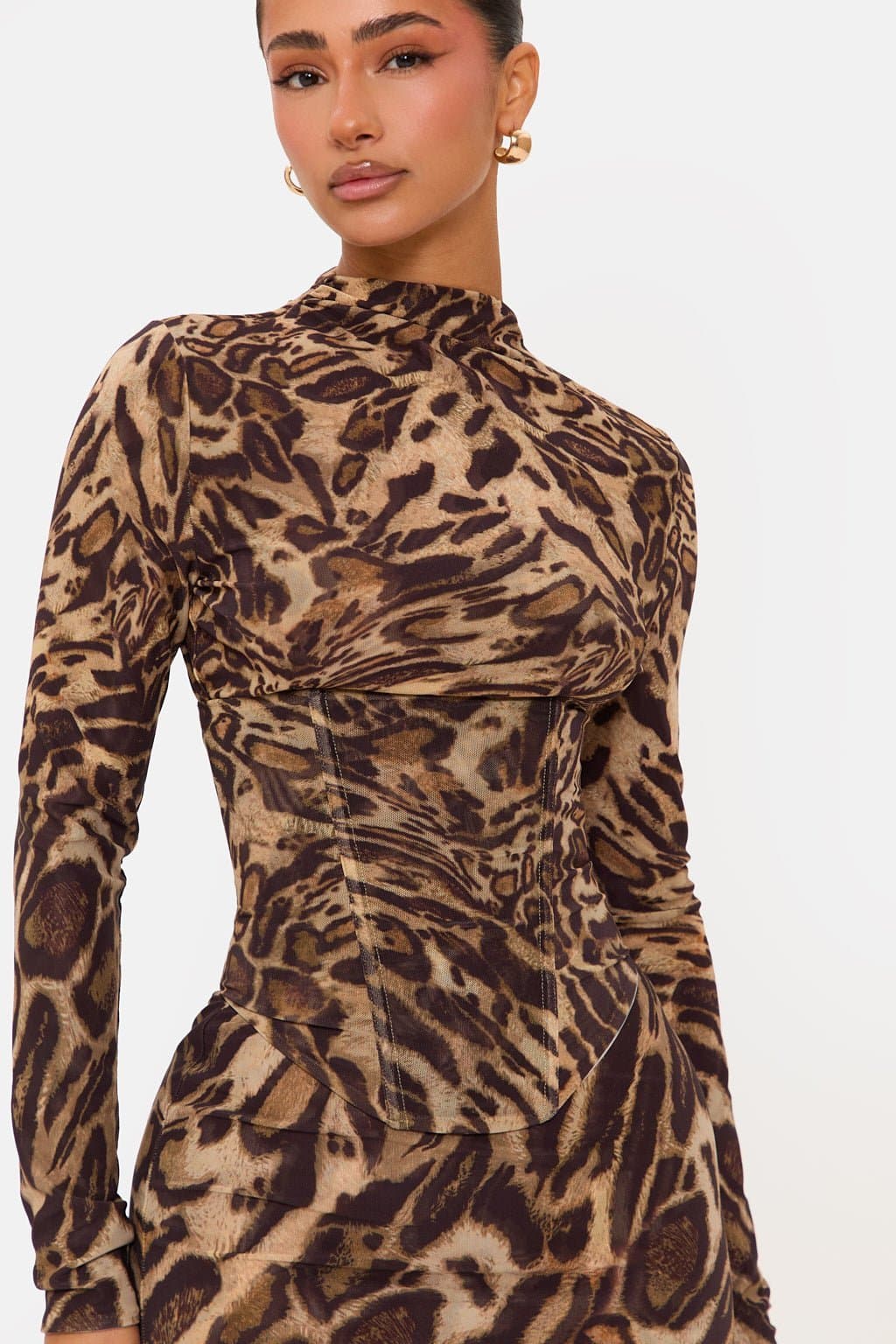 Dakota Mini Leopard Print Corset Mini Dress High Neck Long Sleeve