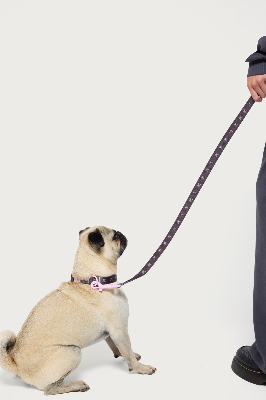 Bonney Bow Pet Leash - Polyester with Bow Graphic Print, Metal Hardware, 73 Inch Length