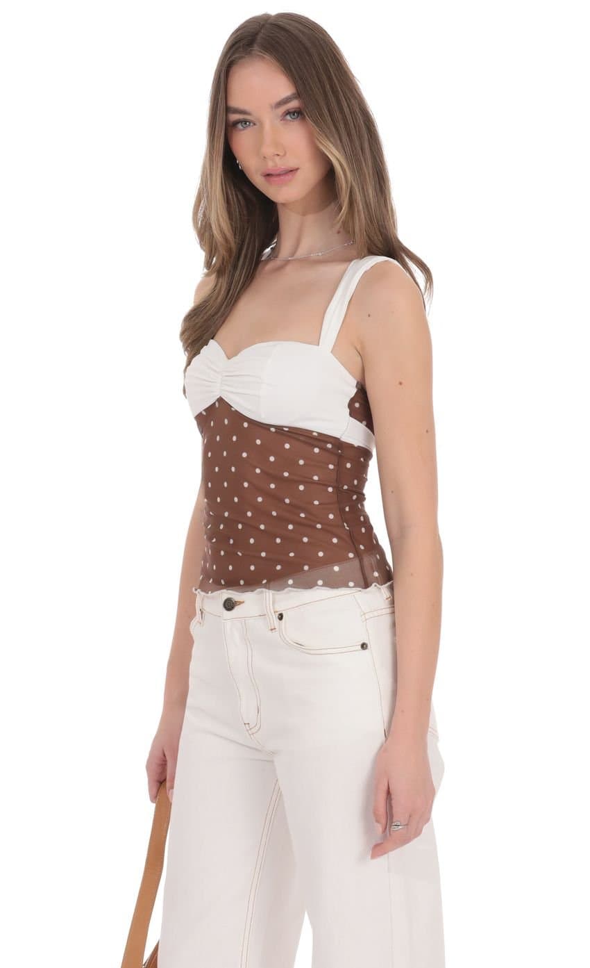 Two-Toned Mesh Polka Dot Top in Brown and White