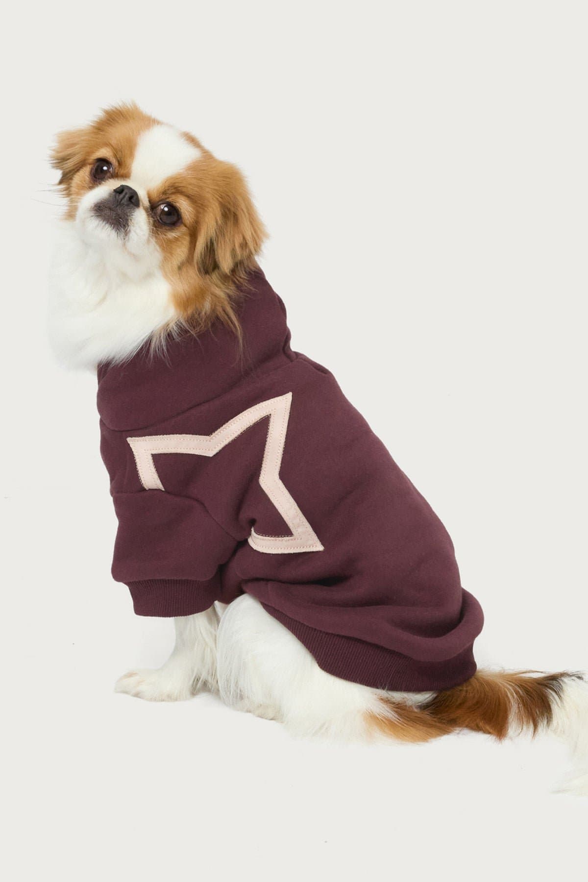 Starly Pet Hoodie with Star Patch, Polyester Cotton Blend, Small Size S