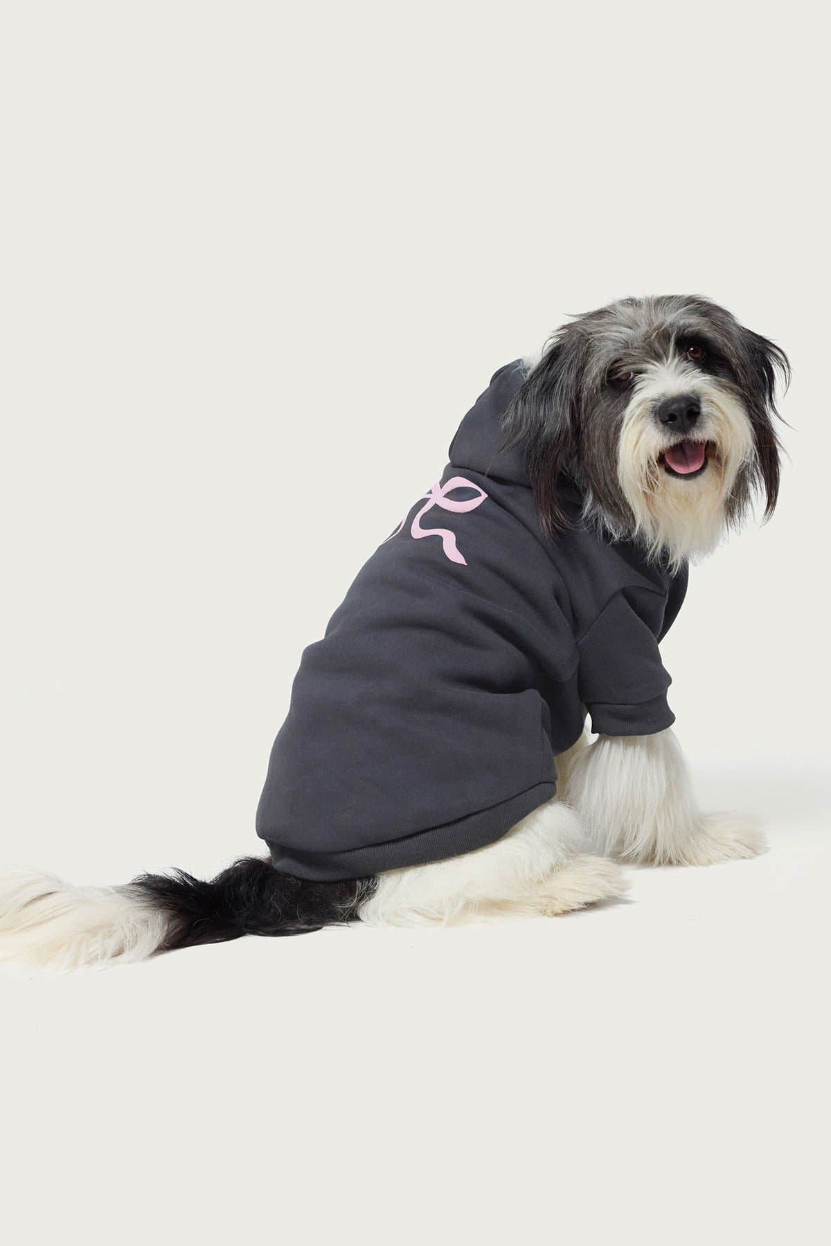 Bonney Bow Pet Hoodie - Polyester Cotton Graphic Print Dog Hoodie Size L