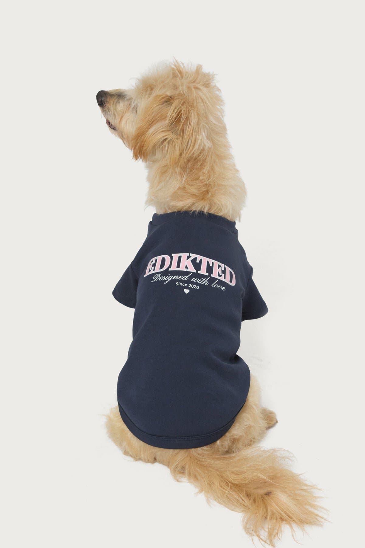 Edikted With Love Pet T-Shirt - Cotton Spandex Unisex Graphic Tee