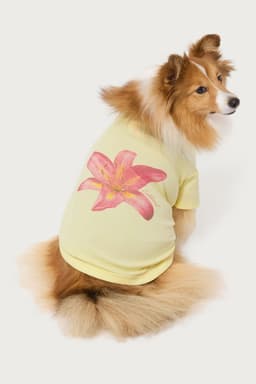 Daylily Pet T-Shirt - Cotton Spandex Unisex Flower Graphic Print