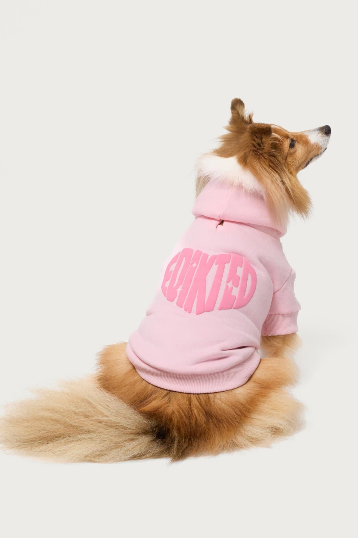 Edikted Major Love Pet Hoodie - Puff Print Graphic Unisex Polyester Cotton