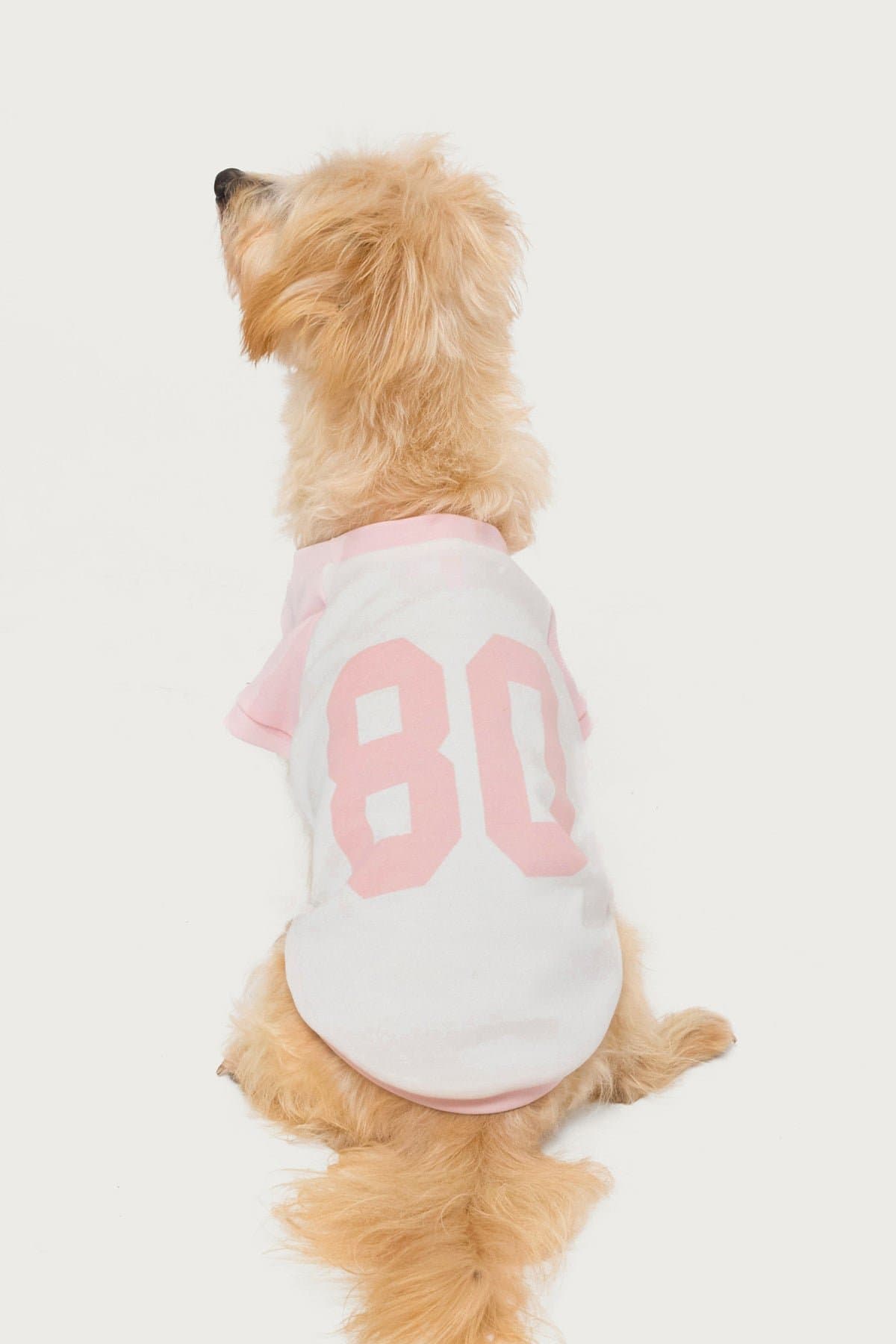 80's Raglan Pet T-Shirt Unisex Cotton Spandex Graphic Tee