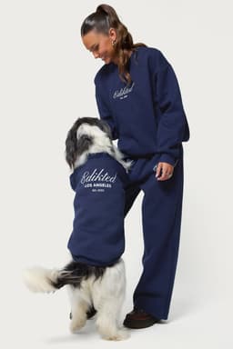 Get Edikted Pet Sweatshirt with LA Graphic - Polyester Cotton Unisex Hoodie Large
