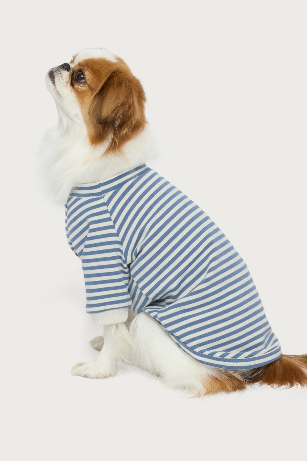 Lilah Striped Long Sleeve Pet T-Shirt - Cotton Spandex Unisex
