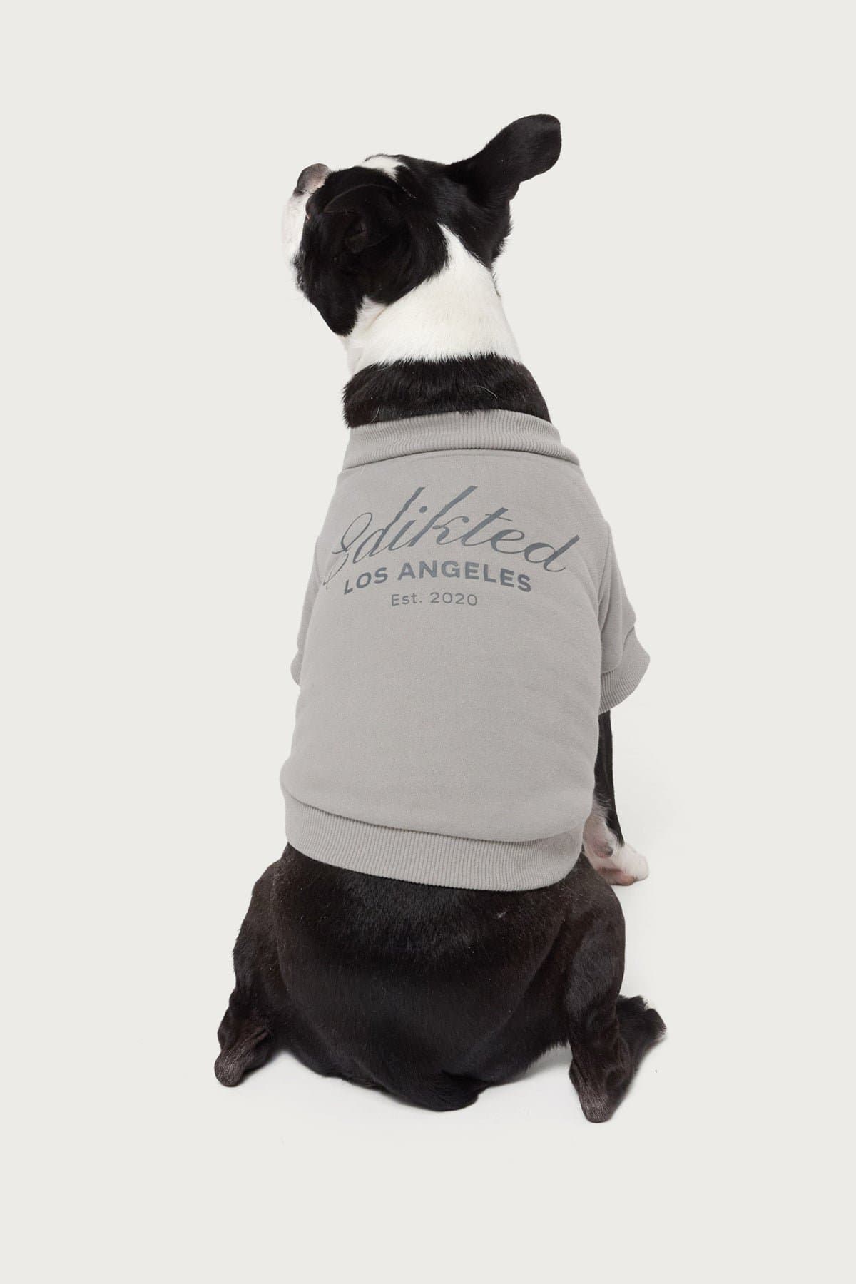 Get Edikted Pet Sweatshirt with LA Graphic - Polyester Cotton Unisex Small