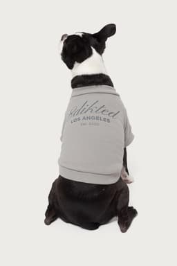 Get Edikted Pet Sweatshirt with LA Graphic - Polyester Cotton Unisex Small