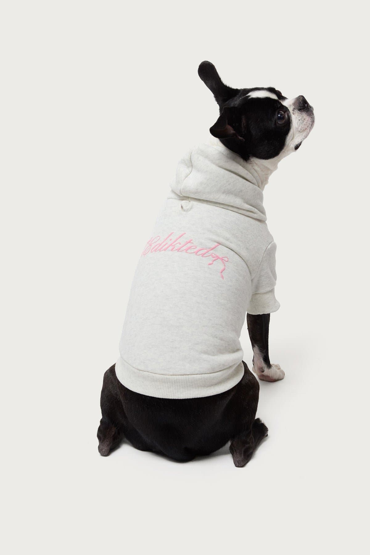 Sasha Bow Detail Pet Hoodie - Polyester Cotton Graphic Print Small Size