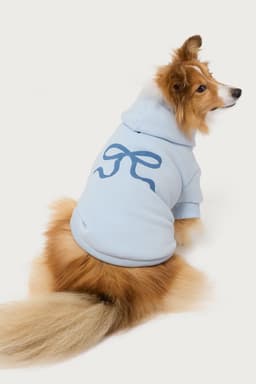 Bonney Bow Pet Hoodie - Polyester Cotton Graphic Print Dog Hoodie