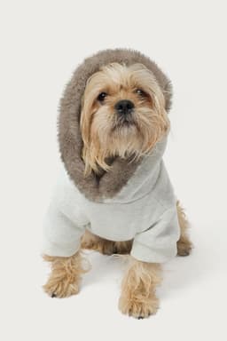 Faux Furry Pet Hoodie - Polyester Cotton Blend with Fur Trim, Small Size