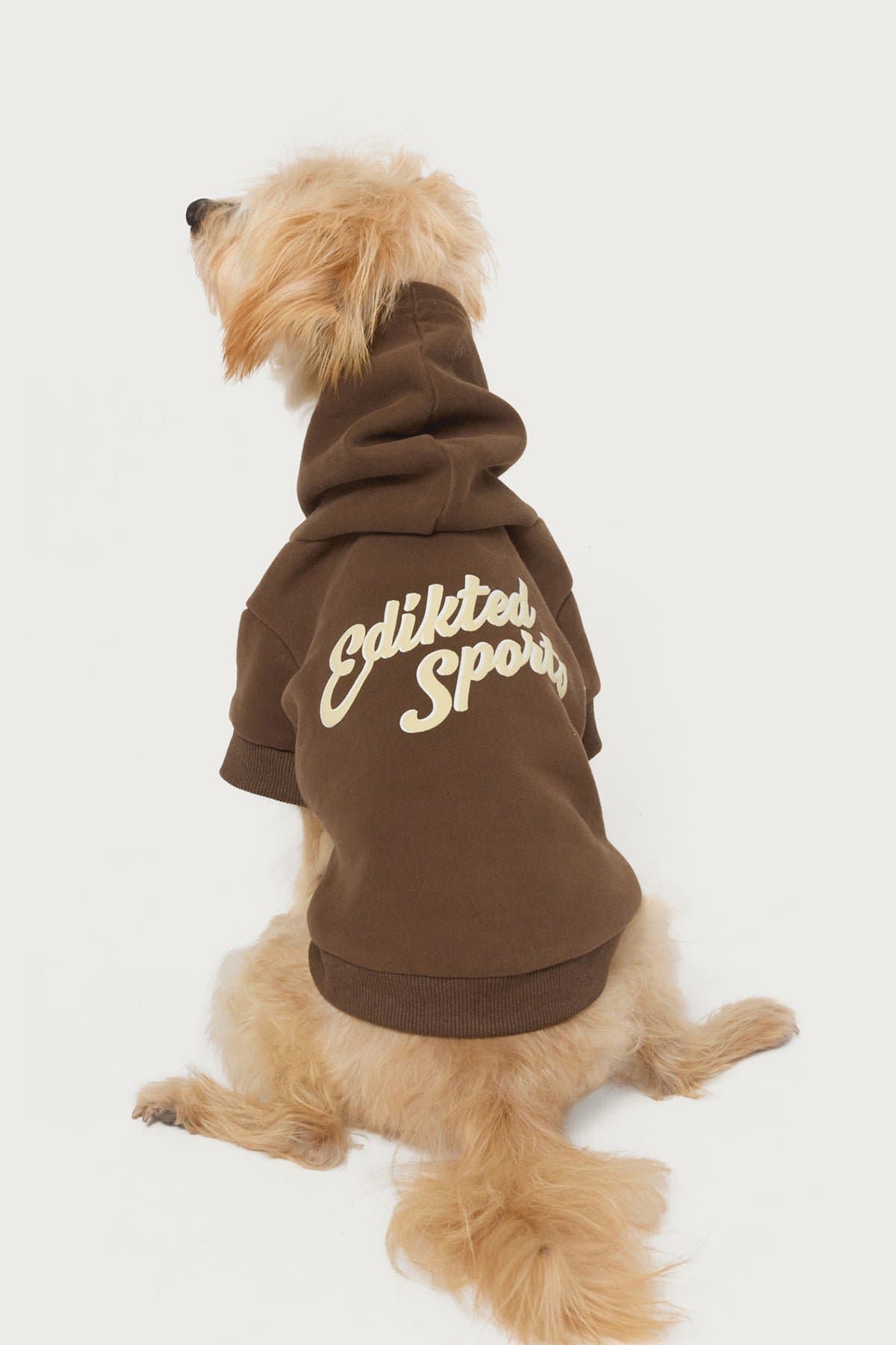 So Sporty Pet Hoodie - Edikted Sports Graphic Unisex Polyester Cotton