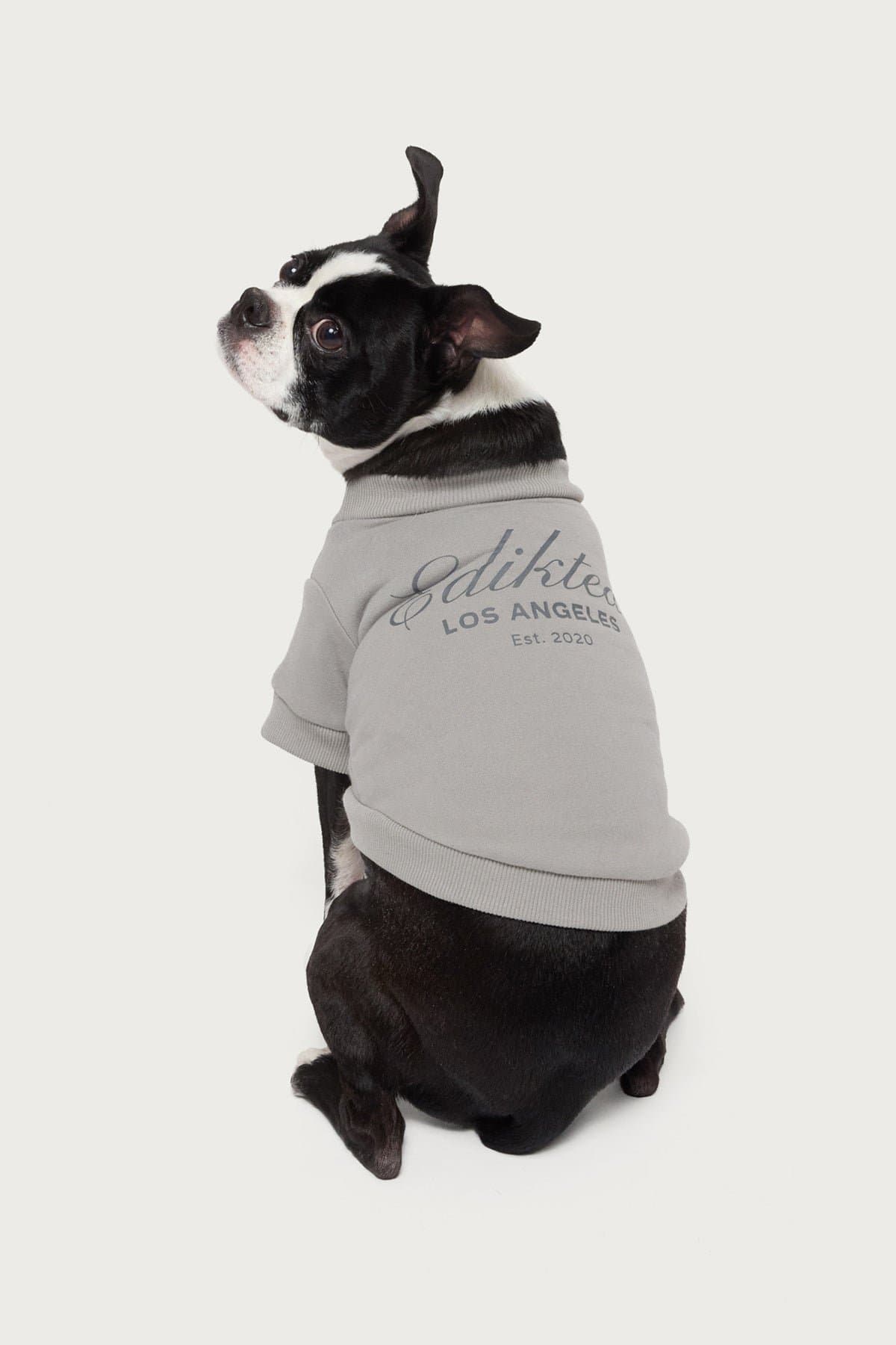 Get Edikted Pet Sweatshirt with LA Graphic - Polyester Cotton Unisex Small