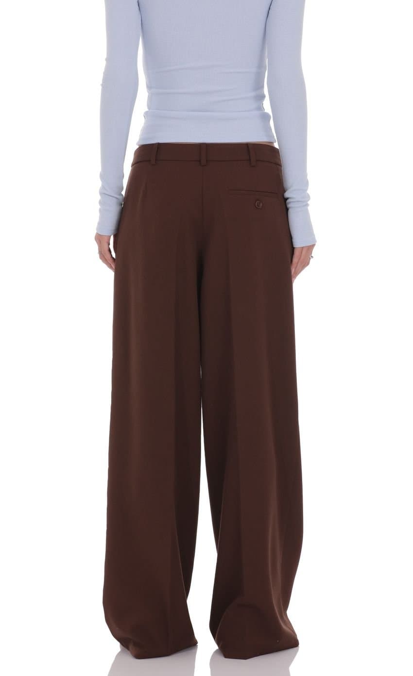 Pleated Wide Leg Trousers in Brown